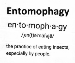 ENTOMOPHAGY EN·TO·MOPH·A·GY / EN(T)E'MÄFEJE/ THE PRACTICE OF EATING INSECTS, ESPECIALLY BY PEOPLE. logo