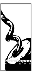 ENTRETAPAS Y VINOS logo