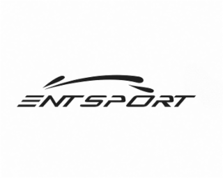 ENTSPORT logo