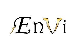 ENVI logo