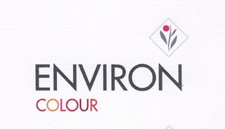 ENVIRON COLOUR logo