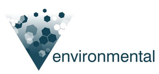 ENVIRONMENTAL logo