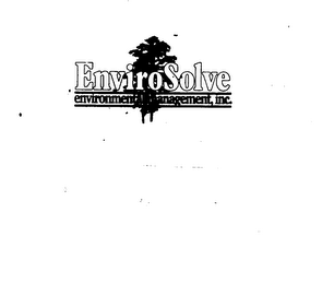 ENVIROSOLVE ENVIRONMENTAL MANAGEMENT, INC. logo
