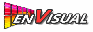ENVISUAL logo