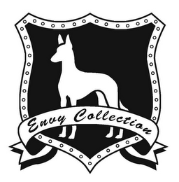 ENVY COLLECTION logo