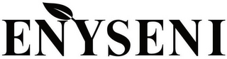 ENYSENI logo
