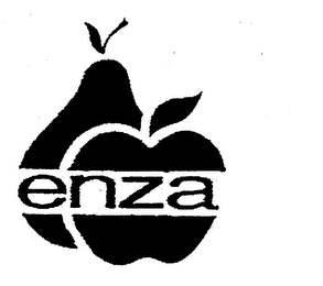 ENZA logo