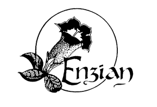 ENZIAN logo