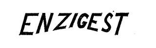 ENZIGEST logo