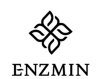ENZMIN logo
