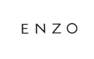 ENZO logo