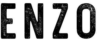 ENZO logo