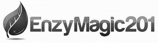 ENZYMAGIC201 logo