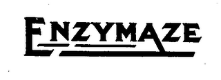 ENZYMAZE logo