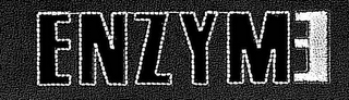 ENZYME logo