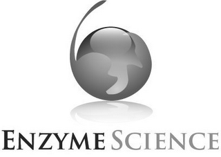 ENZYME SCIENCE logo