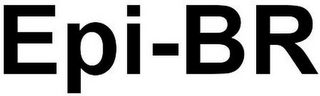 EPI-BR logo