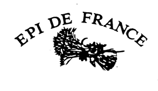 EPI DE FRANCE logo