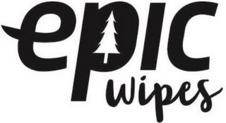 EPIC WIPES logo