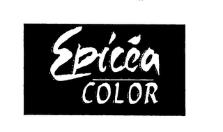 EPICEA COLOR logo