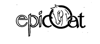 EPICOAT logo
