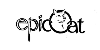 EPICOAT logo