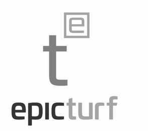 EPICTURF T E logo