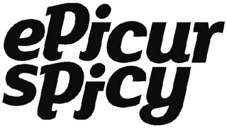 EPICURSPICY logo