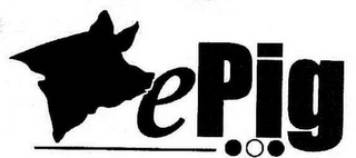 EPIG logo