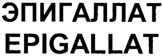 EPIGALLAT logo