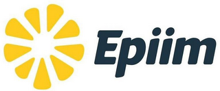 EPIIM logo