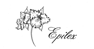 EPILEX logo