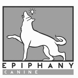 EPIPHANY CANINE logo