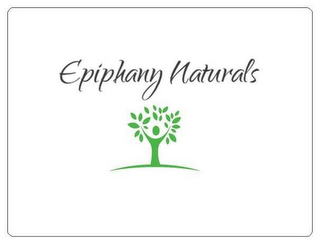 EPIPHANY NATURALS logo