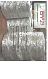 EPP21 ENGINEERED POLYESTER POWER logo
