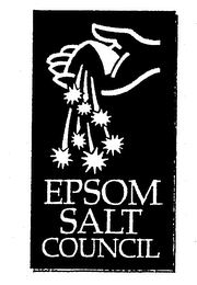 EPSOM SALT COUNCIL