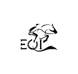 EQI logo