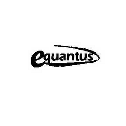 EQUANTUS logo