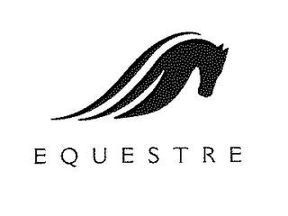 EQUESTRE logo
