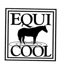 EQUI COOL logo