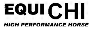 EQUICHI HIGH PERFORMANCE HORSE logo