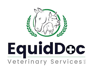 EQUIDDOC VETERINARY SERVICES LLC logo