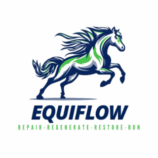 EQUIFLOW REPAIR - REGENERATE - RESTORE - RUN logo