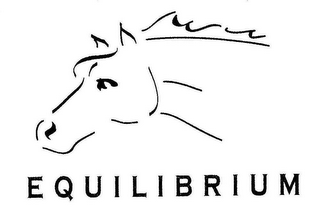 EQUILIBRIUM logo