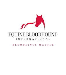 EQUINE BLOODHOUND INTERNATIONAL BLOODLINES MATTER logo
