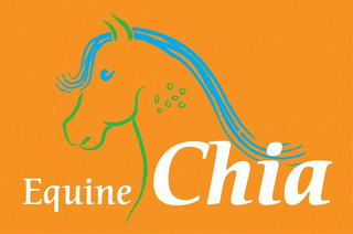 EQUINE CHIA logo