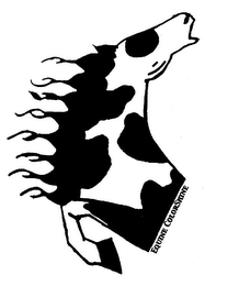 EQUINE COLORSHINE logo