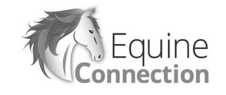 EQUINE CONNECTION logo