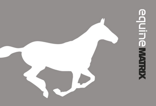 EQUINE MATRIX logo