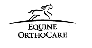 EQUINE ORTHOCARE logo